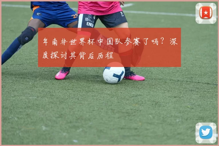 年南非世界杯中国队参赛了吗？深度探讨其背后历程