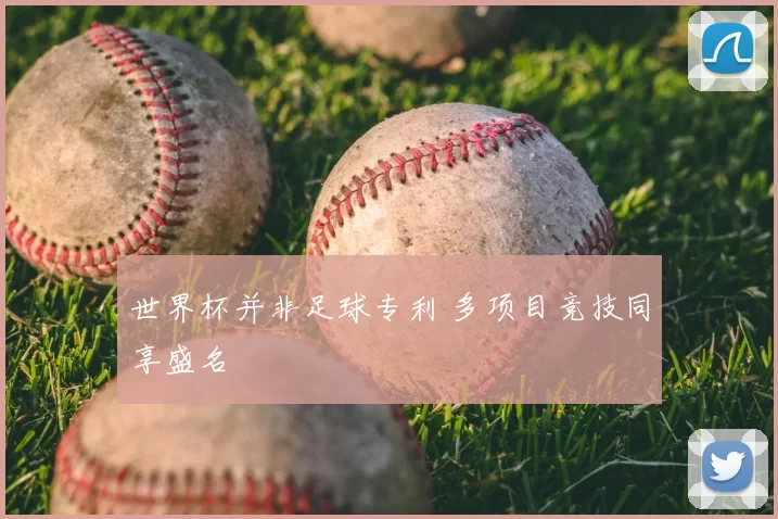 世界杯并非足球专利 多项目竞技同享盛名