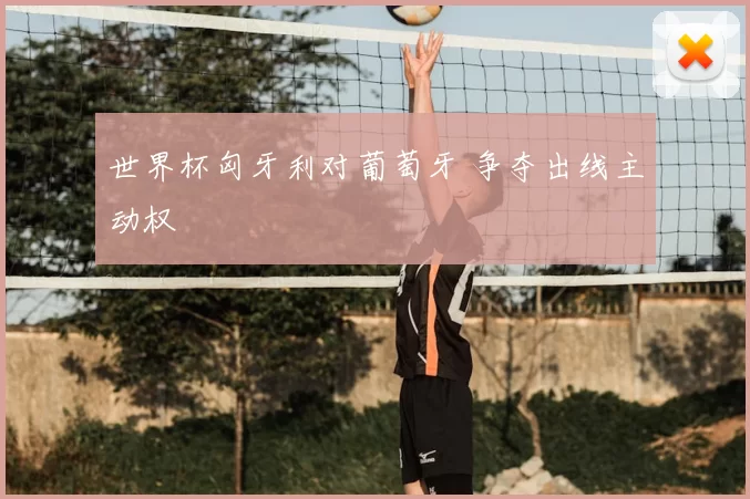 世界杯匈牙利对葡萄牙 争夺出线主动权