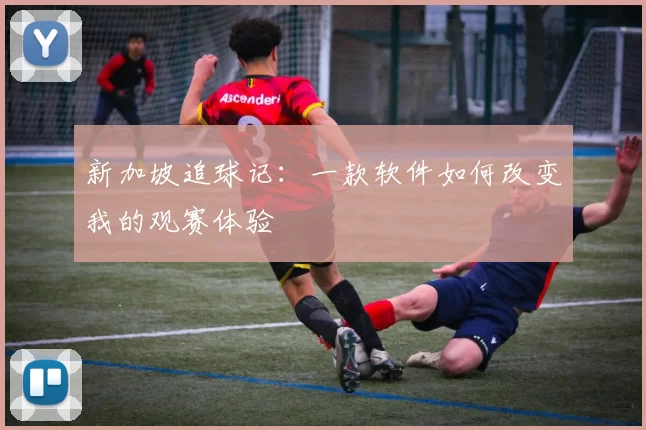 新加坡追球记：一款软件如何改变我的观赛体验