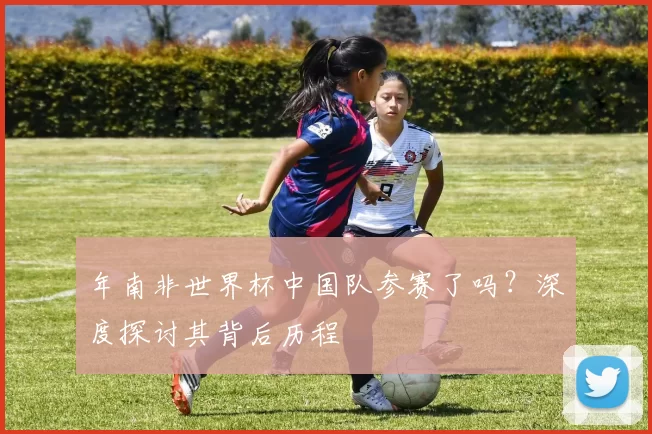 年南非世界杯中国队参赛了吗？深度探讨其背后历程