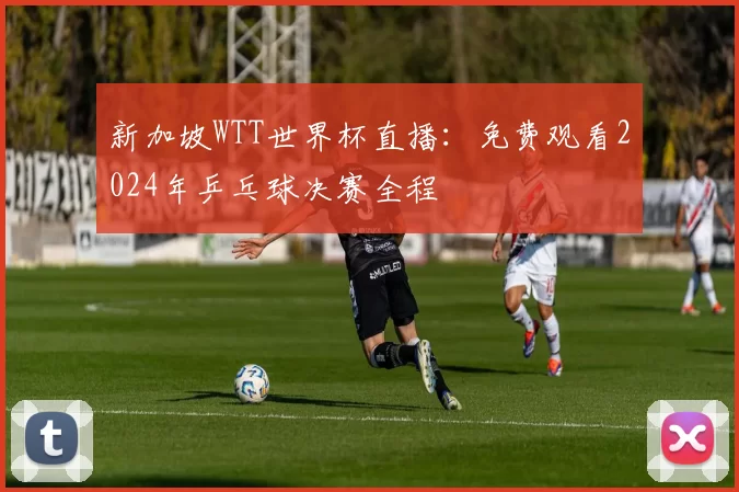 新加坡WTT世界杯直播：免费观看2024年乒乓球决赛全程