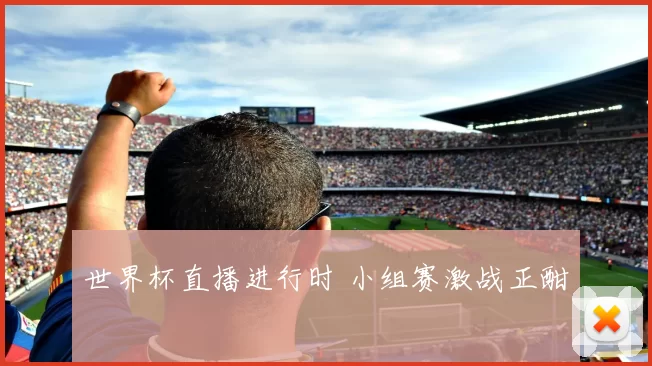 世界杯直播进行时 小组赛激战正酣