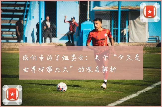 我们专访了组委会：关于“今天是世界杯第几天”的深度解析