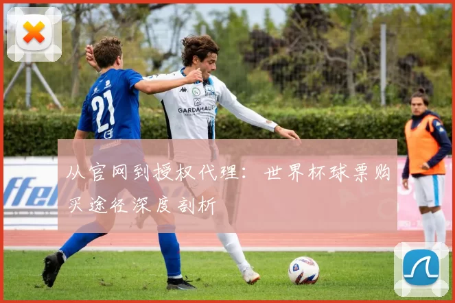 从官网到授权代理：世界杯球票购买途径深度剖析